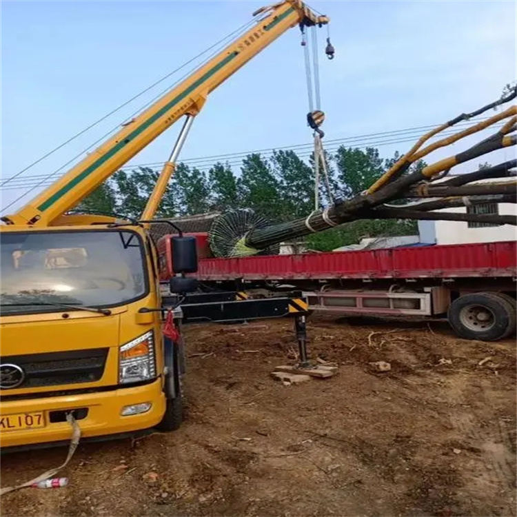 宣恩100吨吊车租赁费用怎么算？3大关键因素+省钱技巧全解析